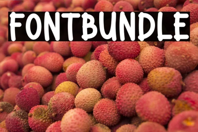 Font Bundle Example 2