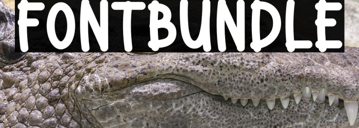 Font Bundle Example 3