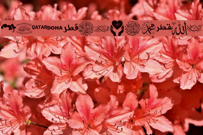 Font Color Qatar Font examples