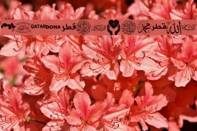 Font Color Qatar Example 3