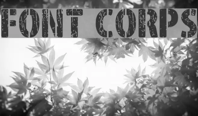 Font Corps Font examples