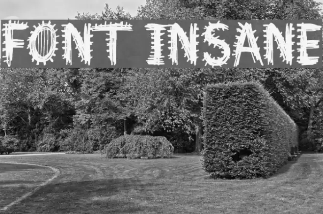 Font Insane Schriftart examples