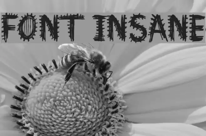 Font Insane Schriftart examples
