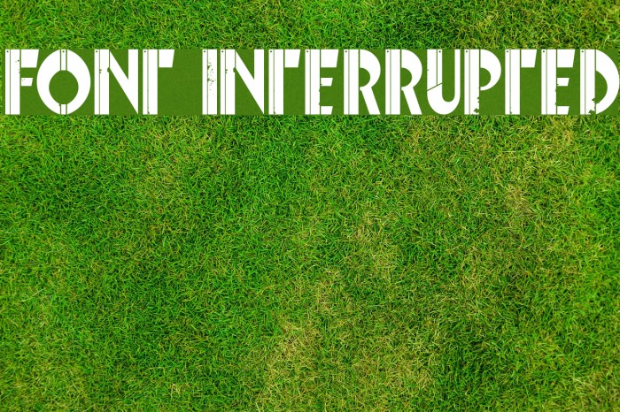 Font Interrupted Font examples