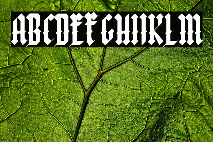 Font Negra Example 1