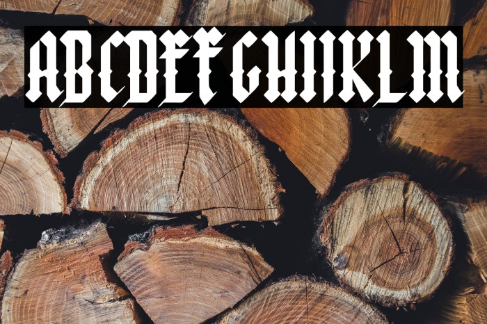 Font Negra Example 3