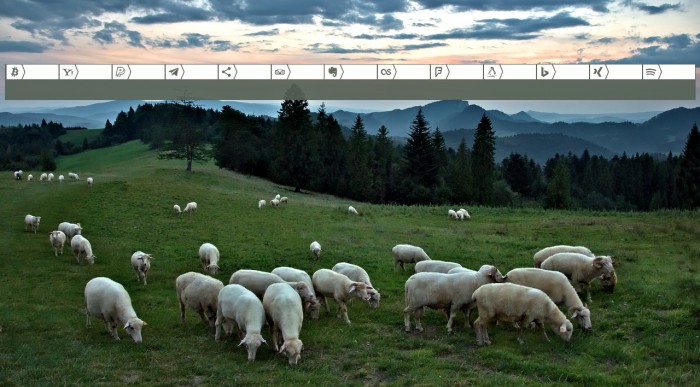 Font Networks Color Example 3