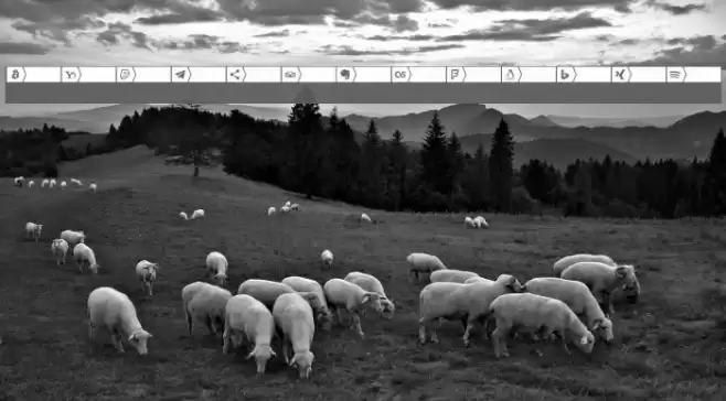 Font Networks Color Font examples