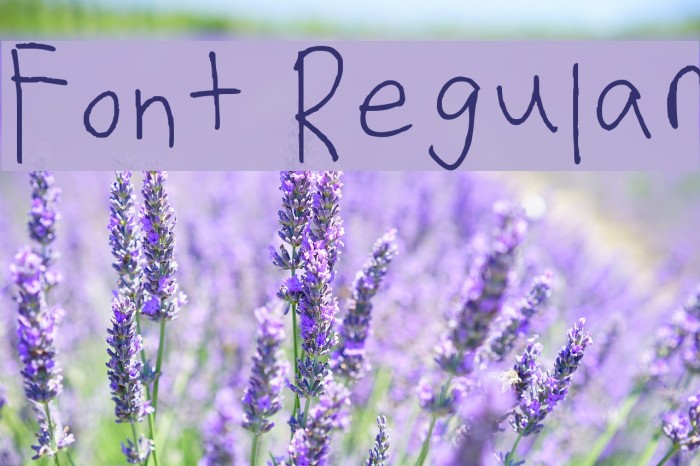 Font Regular Font examples