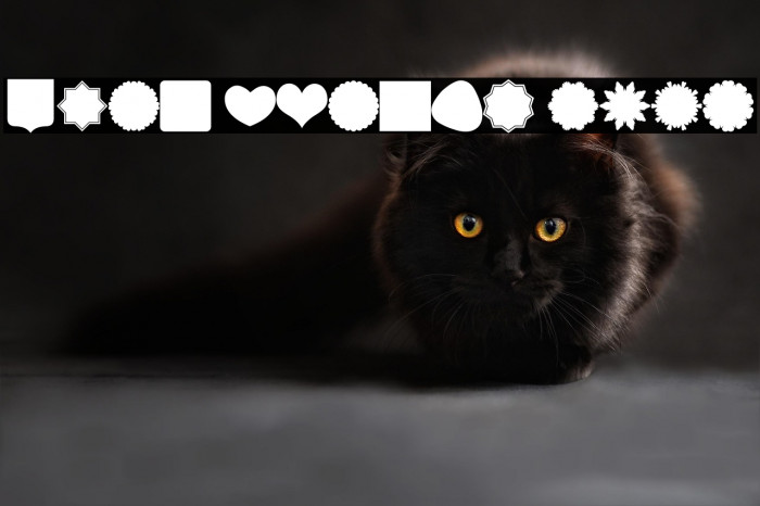 Font Shapes 2019 Example 3