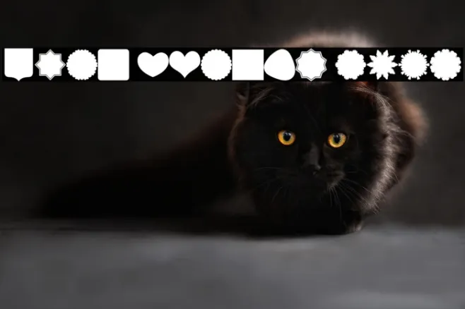 Font Shapes 2019 Example 3