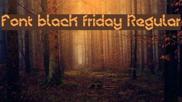 Font black friday Regular Example 3