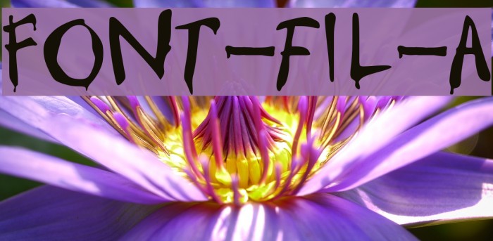 Font-fil-A Fonte examples