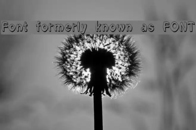 Font formerly known as FONT Font examples