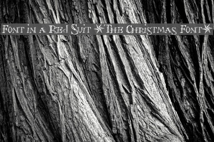 Font in a Red Suit [The Christmas Font] Example 2