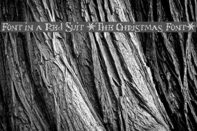 Font in a Red Suit [The Christmas Font] Schriftart examples