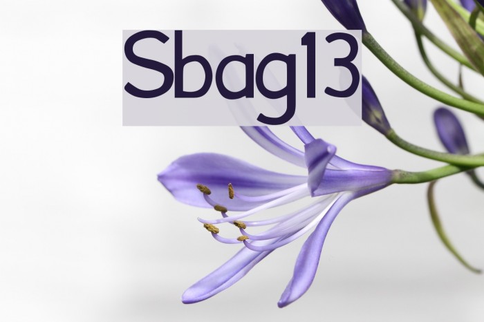 Font13 Font examples
