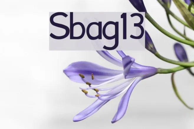Font13 Example 1