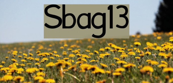 Font13 Font examples