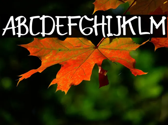 Font Example 1