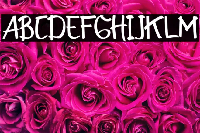 Font Example 3