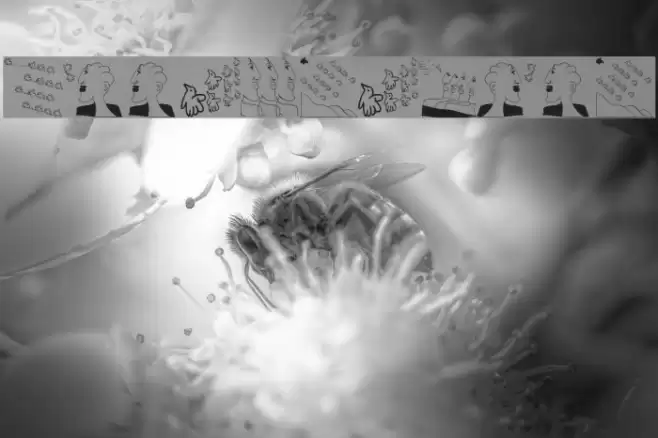 FontBetaOne Font examples