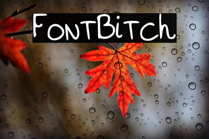 FontBitch Example 1