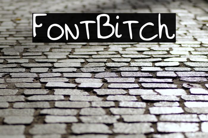 FontBitch Example 3