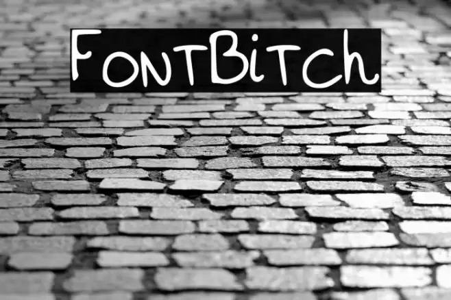 FontBitch Font examples