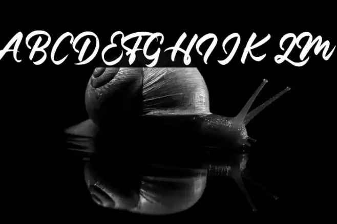 FontBrush Font examples