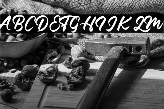 FontBrush Font examples