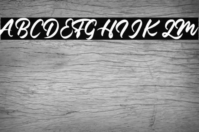 FontBrush Font examples