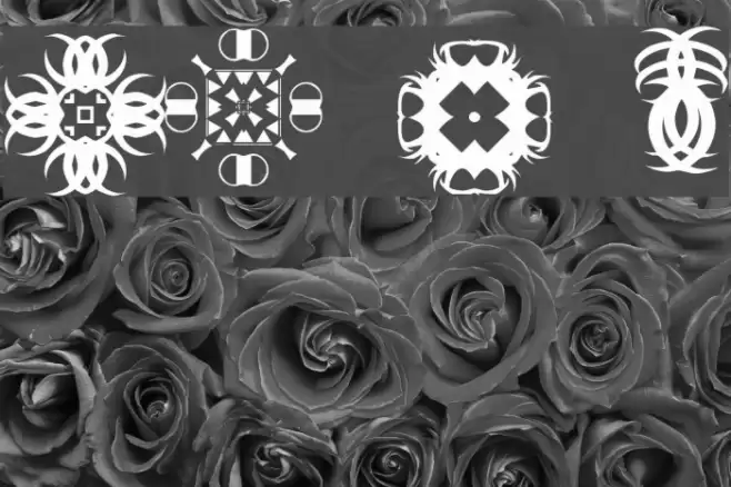 FontCo Designs 2 Caratteri examples