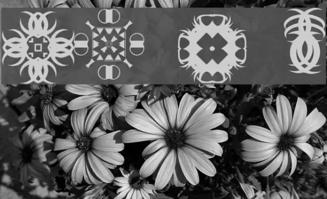 FontCo Designs 2 Caratteri examples
