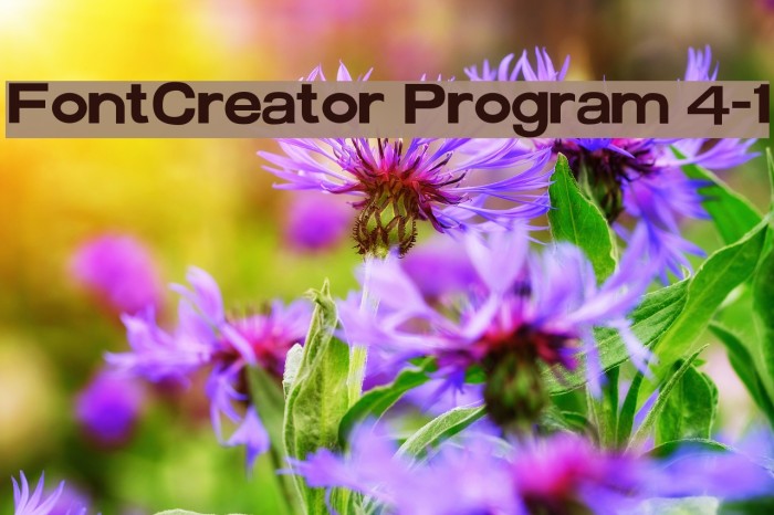 FontCreator Program 4-1 Schriftart examples