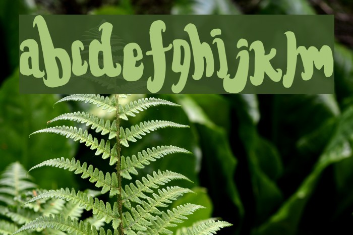 FontForTheDumped Font examples