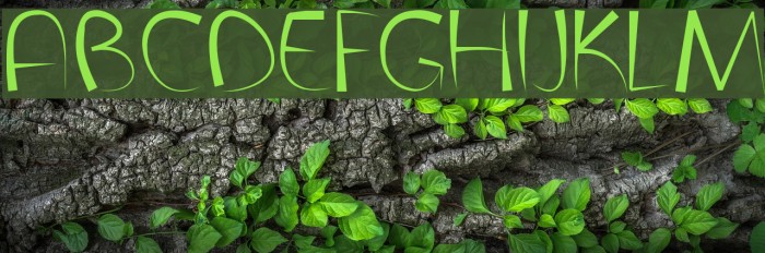 FontPenetration Font examples