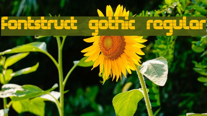 FontStruct Gothic Regular Font examples
