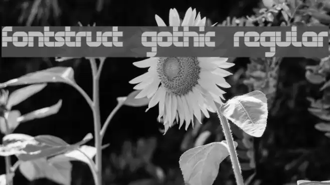 FontStruct Gothic Regular Schriftart examples