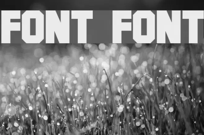 Font フォント examples