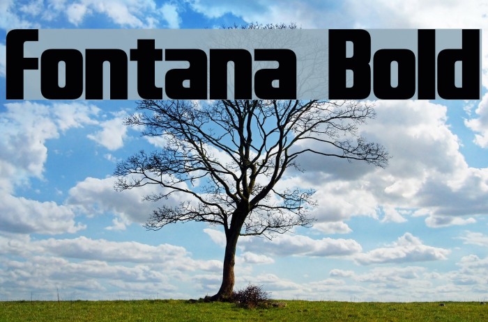 Fontana Bold Font examples