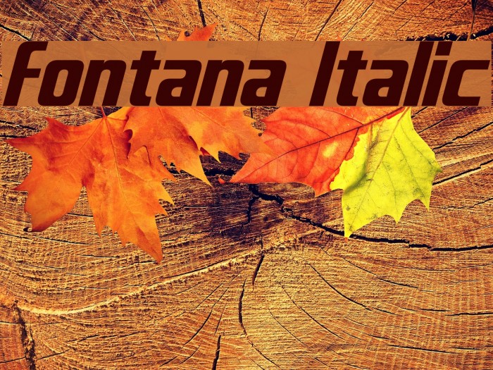 Fontana Italic Font examples