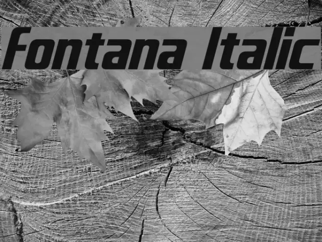 Fontana Italic Font examples