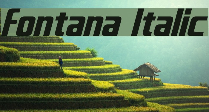 Fontana Italic Font examples