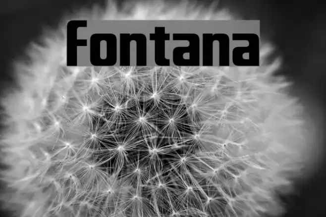Fontana Font examples