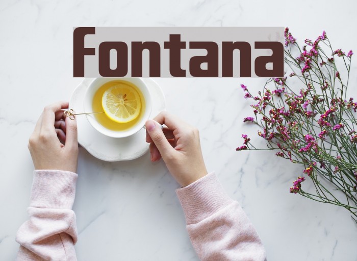 Fontana Font examples