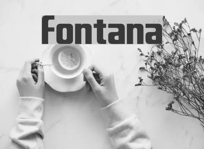Fontana Font examples