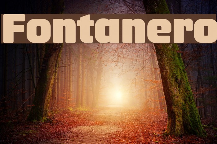 Fontanero Font examples