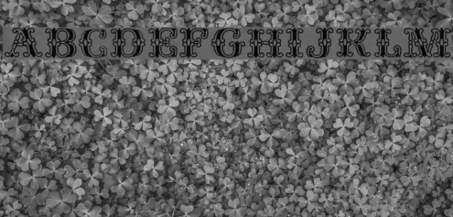 Fontanesi Font examples