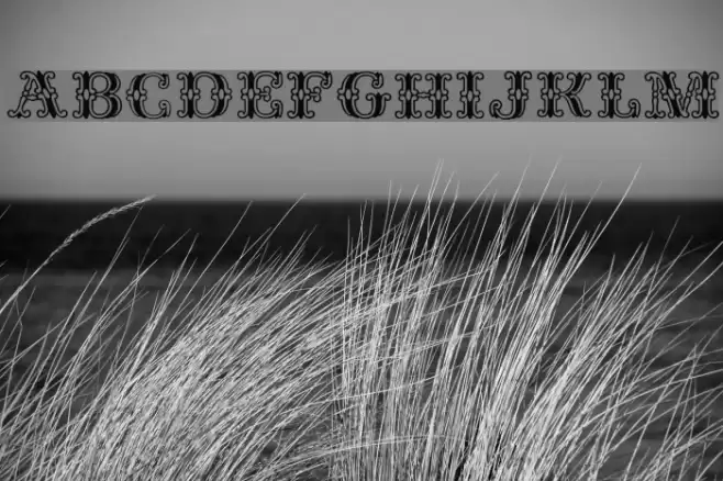 Fontanesi Font examples